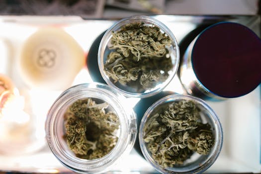 Descoberta surpreendente no Cannabis: composto raro com potencial médico