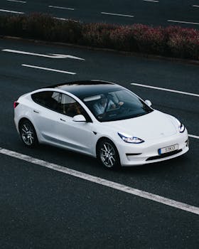 Tesla vende Modelos 3 madeiros em Canada a preço histórico