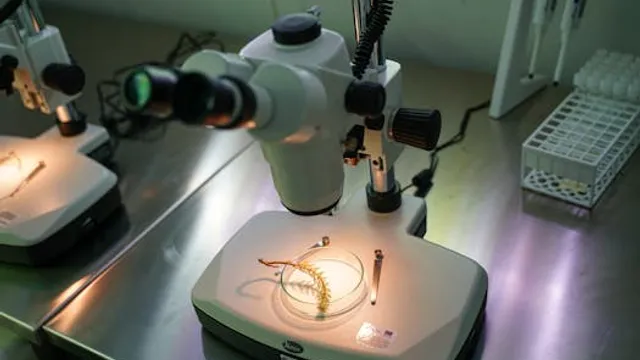 Ração Artificial em Forma de Ovos: A Inovação da Colossal Biosciences